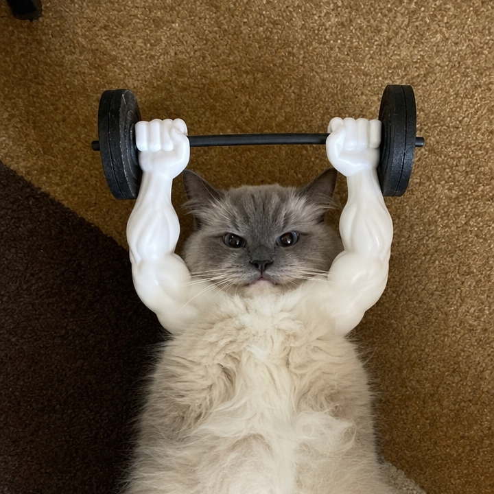 Meowsclefit™ Buff Cat Arms
