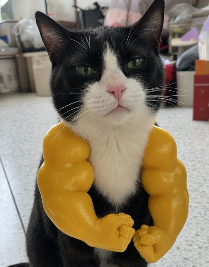 Meowsclefit™ Buff Cat Arms
