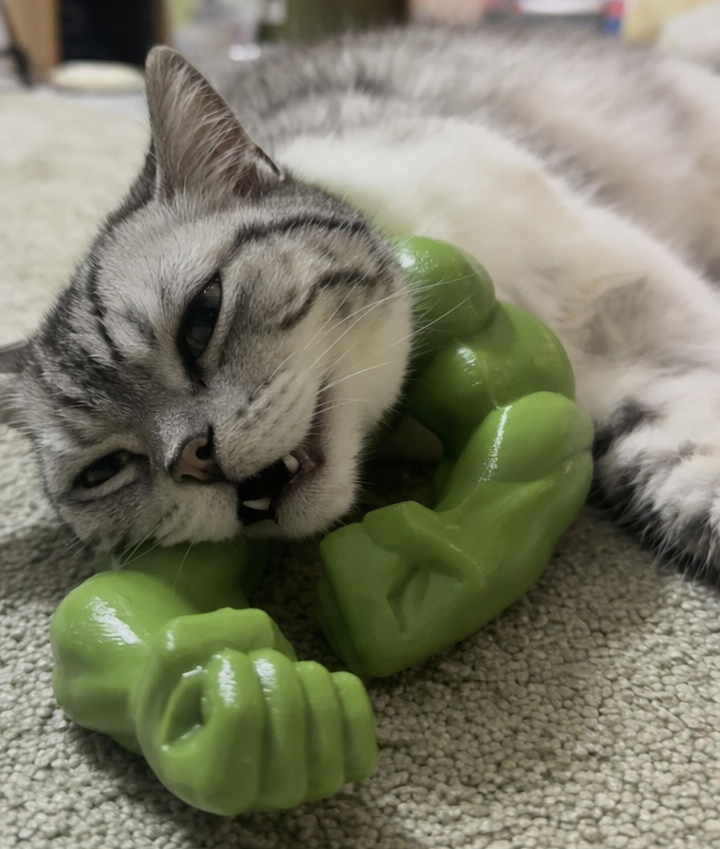 Meowsclefit™ Buff Cat Arms