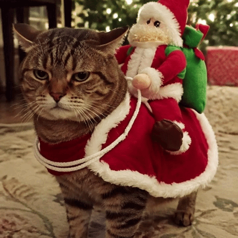 Meowsclefit™ Santa Ride-On Cat Costume
